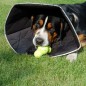 All Four Paws Haustier-Halskragen Comfy Cone XL 30cm Schwarz All Four Paws Haustier-Halskragen Comfy Cone XL 30cm Schwarz
