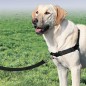 PetSafe Hundegeschirr Easy Walk L Schwarz PetSafe Hundegeschirr Easy Walk L Schwarz