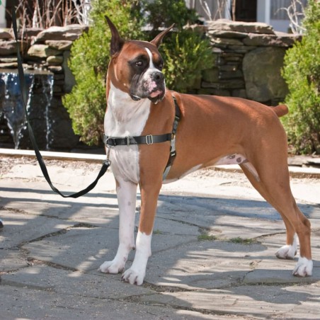 PetSafe Hundegeschirr Easy Walk XL Schwarz