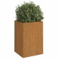 vidaXL Pflanzkübel 52x48x75 cm Cortenstahl vidaXL Pflanzkübel 52x48x75 cm Cortenstahl