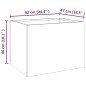 vidaXL Pflanzkübel 62x47x46 cm Cortenstahl vidaXL Pflanzkübel 62x47x46 cm Cortenstahl