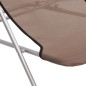 vidaXL Strandstühle 2 Stk. Braun Textilene & Pulverbeschichteter Stahl vidaXL Strandstühle 2 Stk. Braun Textilene & Pulverbeschichteter Stahl