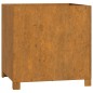 vidaXL Pflanzkübel mit Beinen 2 Stk. Rostig 49x47x50 cm Cortenstahl vidaXL Pflanzkübel mit Beinen 2 Stk. Rostig 49x47x50 cm Cortenstahl