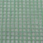 vidaXL Ersatzabdeckung für Gewächshaus (0,5 m²) 50x100x190 cm Grün vidaXL Ersatzabdeckung für Gewächshaus (0,5 m²) 50x100x190 cm Grün