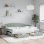 vidaXL Tagesbett Ausziehbar mit Schubladen Hellgrau 80x200 cm Samt vidaXL Tagesbett Ausziehbar mit Schubladen Hellgrau 80x200 cm Samt