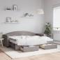 vidaXL Tagesbett Ausziehbar mit Schubladen Taupe 80x200 cm Stoff vidaXL Tagesbett Ausziehbar mit Schubladen Taupe 80x200 cm Stoff