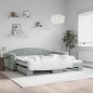 vidaXL Tagesbett Ausziehbar Hellgrau 100x200 cm Samt vidaXL Tagesbett Ausziehbar Hellgrau 100x200 cm Samt