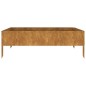 vidaXL Hochbeet 100x100x33,5 cm Cortenstahl vidaXL Hochbeet 100x100x33,5 cm Cortenstahl