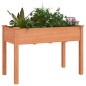 vidaXL Pflanzkübel mit Einsatz Braun 118x59x76 cm Massivholz Tanne vidaXL Pflanzkübel mit Einsatz Braun 118x59x76 cm Massivholz Tanne