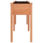 vidaXL Pflanzkübel mit Einsatz Braun 161x45x76 cm Massivholz Tanne vidaXL Pflanzkübel mit Einsatz Braun 161x45x76 cm Massivholz Tanne