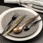 Lou Laguiole 16-tlg. Besteck-Set Jet Stonewash Champagnerfarben Lou Laguiole 16-tlg. Besteck-Set Jet Stonewash Champagnerfarben