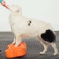FitPAWS Gleichgewichtstrainer für Haustiere K9FITbone 58x29x10 cm FitPAWS Gleichgewichtstrainer für Haustiere K9FITbone 58x29x10 cm
