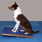 FitPAWS Wackelbrett Groß 75x75 cm Blau FitPAWS Wackelbrett Groß 75x75 cm Blau