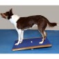 FitPAWS Wackelbrett Groß 75x75 cm Blau FitPAWS Wackelbrett Groß 75x75 cm Blau