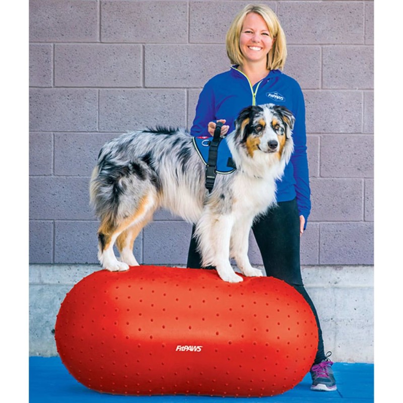 FitPAWS Gleichgewichtstrainer für Haustiere Trax Peanut 50 cm Rot FitPAWS Gleichgewichtstrainer für Haustiere Trax Peanut 50 cm Rot