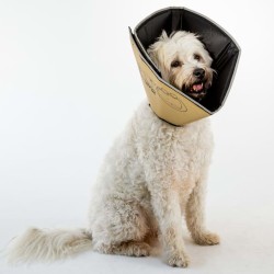 All Four Paws Hundekragen Comfy Cone M 20 cm Hellbraun