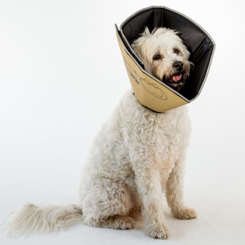 All Four Paws Hundekragen Comfy Cone M 20 cm Hellbraun All Four Paws Hundekragen Comfy Cone M 20 cm Hellbraun