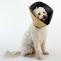 All Four Paws Hundekragen Comfy Cone M 20 cm Hellbraun All Four Paws Hundekragen Comfy Cone M 20 cm Hellbraun