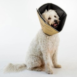All Four Paws Hundekragen Comfy Cone L 25 cm Hellbraun