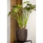 Capi Blumentopf Nature Rib 35x34 cm Dunkelbraun Capi Blumentopf Nature Rib 35x34 cm Dunkelbraun