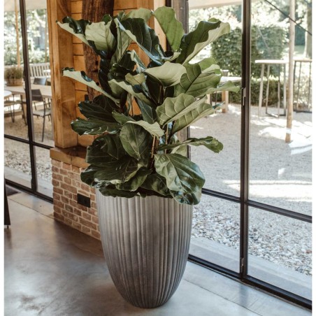Capi Vase Urban Tube Elegant Niedrig 55x73 cm Dunkelgrau 