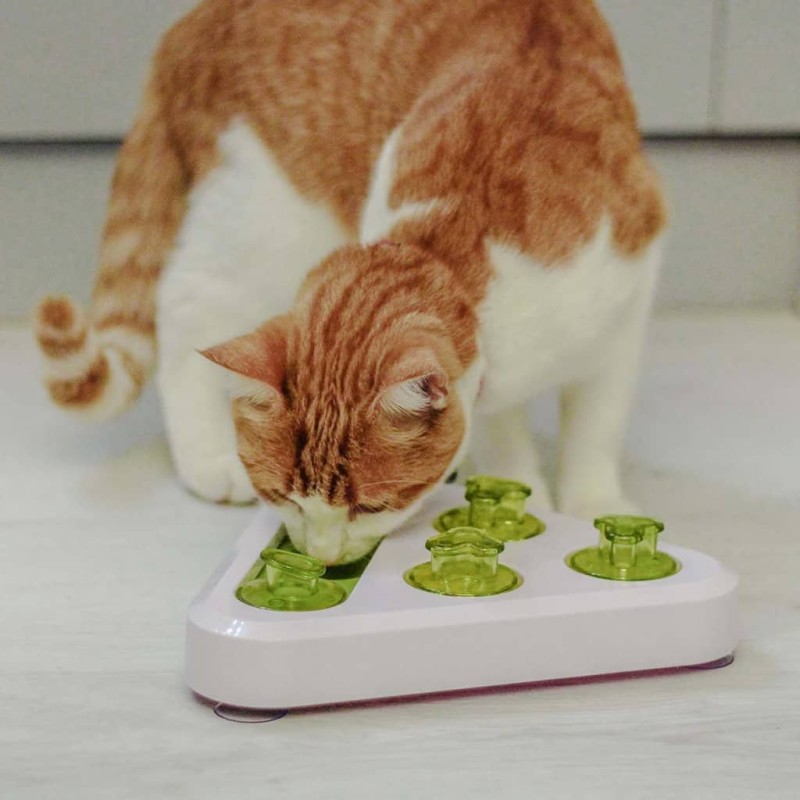 Ferplast Aktivitätsspielzeug für Hunde/Katzen Trea Ferplast Aktivitätsspielzeug für Hunde/Katzen Trea
