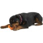 West Paw Hundespielzeug mit Zogoflex Tux Orange S West Paw Hundespielzeug mit Zogoflex Tux Orange S