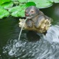 Ubbink Wasserspeier Otter Ubbink Wasserspeier Otter