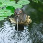 Ubbink Wasserspeier Otter Ubbink Wasserspeier Otter