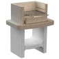 vidaXL Holzkohle-Standgrill aus Beton mit Ablage vidaXL Holzkohle-Standgrill aus Beton mit Ablage