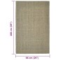 vidaXL Teppich Natur Sisal 66x100 cm Taupe vidaXL Teppich Natur Sisal 66x100 cm Taupe