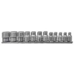 Torx Stern Socket Set 12 Stück mit Clip-Streifen