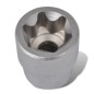 Torx Stern Socket Set 12 Stück mit Clip-Streifen Torx Stern Socket Set 12 Stück mit Clip-Streifen