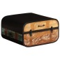 vidaXL Truhe 60x60x35 cm Altholz Massiv vidaXL Truhe 60x60x35 cm Altholz Massiv