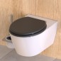 SCHÜTTE WC-Sitz mit Absenkautomatik SPIRIT ATHRAZIT Anthrazit Matt SCHÜTTE WC-Sitz mit Absenkautomatik SPIRIT ATHRAZIT Anthrazit Matt