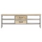 vidaXL TV-Schrank 120 x 30 x 40 cm Massivholz Mango