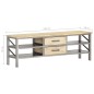 vidaXL TV-Schrank 120 x 30 x 40 cm Massivholz Mango
