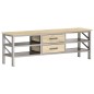 vidaXL TV-Schrank 120 x 30 x 40 cm Massivholz Mango