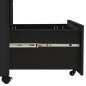 vidaXL Aktenschrank mit Rollen Anthrazit 30x45x59 cm Stahl vidaXL Aktenschrank mit Rollen Anthrazit 30x45x59 cm Stahl