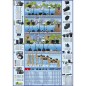 Ubbink FiltraPure 2000 L Teichfilter-Set 16 L mit Xtra 600 Pumpe Ubbink FiltraPure 2000 L Teichfilter-Set 16 L mit Xtra 600 Pumpe