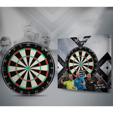 XQmax Darts Klassische Dartscheibe Borste