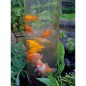 Ubbink Fischturm 50 cm Acryl 1372160 Ubbink Fischturm 50 cm Acryl 1372160