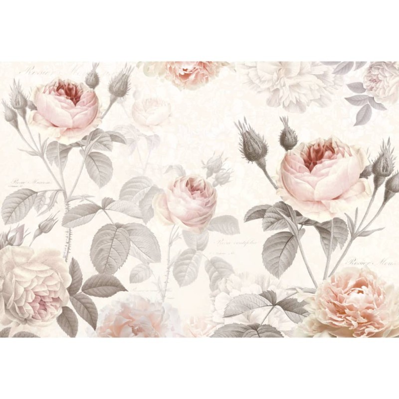 Komar Fotowandbild La Maison 368×248 cm XXL4-034 Komar Fotowandbild La Maison 368×248 cm XXL4-034
