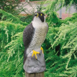 Ubbink Tierfigur Falke 40 cm 