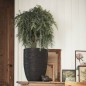 Capi Blumentopf Nature Rib Elegant Niedrig 36 x 47 cm Schwarz KBLR782 Capi Blumentopf Nature Rib Elegant Niedrig 36 x 47 cm Schwarz KBLR782