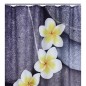 RIDDER Duschvorhang Relax 180 x 200 cm RIDDER Duschvorhang Relax 180 x 200 cm