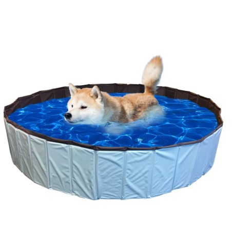 @Pet Hundepool 80 x 20 cm S Blau 