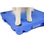 BLUE-9 Beinkappen für KLIMB Hundetrainingsplattform 4 Stk. BLUE-9 Beinkappen für KLIMB Hundetrainingsplattform 4 Stk.