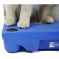 BLUE-9 Beinkappen für KLIMB Hundetrainingsplattform 4 Stk. BLUE-9 Beinkappen für KLIMB Hundetrainingsplattform 4 Stk.
