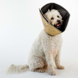 All Four Paws Hundekragen Comfy Cone XS 11 cm Hellbraun
